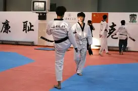 江汉黑豹队对阵徽州鲸鲨队,跆拳道季后赛守住胜果,细节决定成败——赛后更衣室沸腾的简单介绍 江汉黑豹队对阵徽州鲸鲨队,跆拳道季后赛守住胜果,细节决定成败——赛后更衣室沸腾的简单介绍